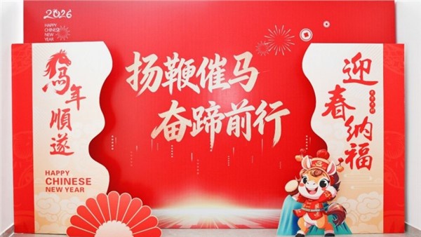 揚鞭催馬開新局，奮蹄前行譜華章——特力公司2025年度總結表彰大會圓滿舉行